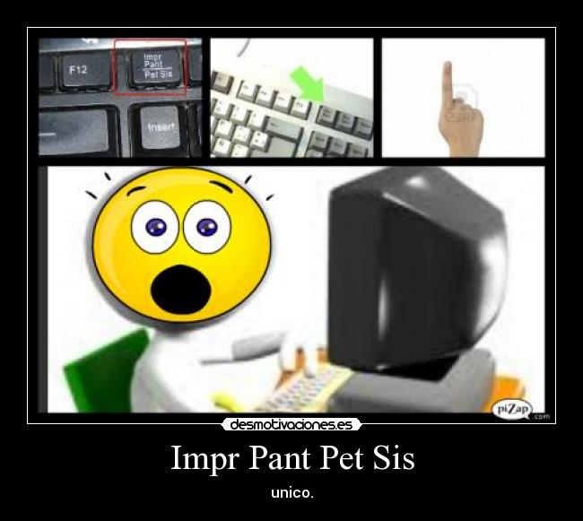 Impr Pant Pet Sis Desmotivaciones