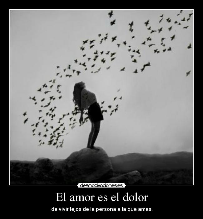 El amor es el dolor -