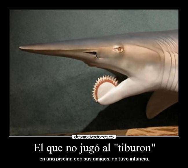 El que no jugó al tiburon - en una piscina con sus amigos, no tuvo infancia.