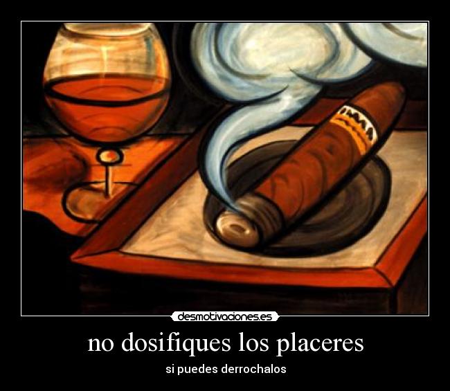 carteles dosifiques los placeres desmotivaciones