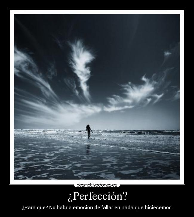 ¿Perfección? - ¿Para que? No habría emoción de fallar en nada que hiciesemos.
