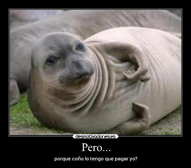 Pero... - porque coño lo tengo que pagar yo?