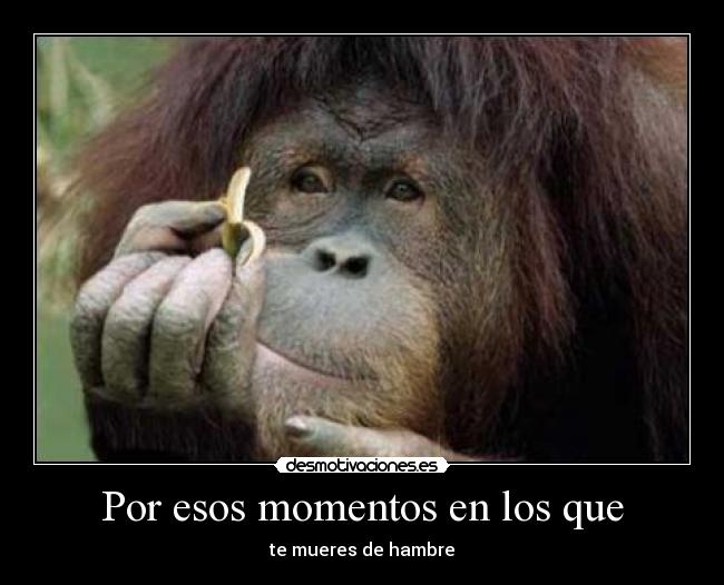 Por esos momentos en los que -