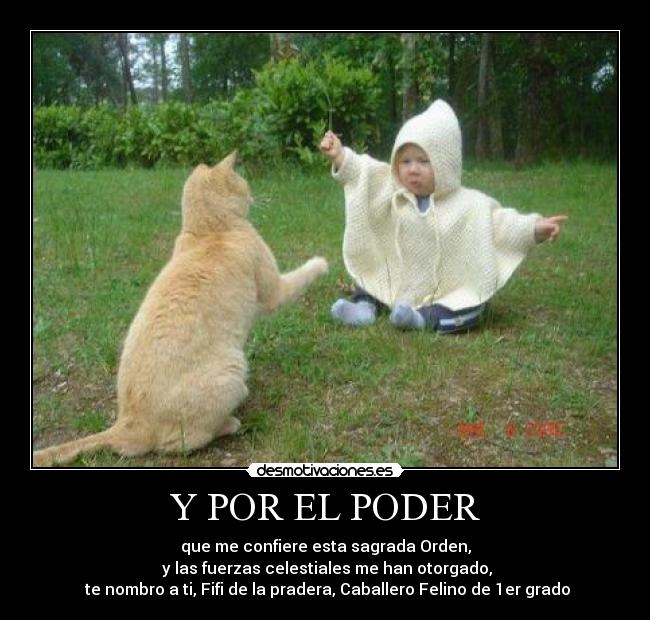 Y POR EL PODER - que me confiere esta sagrada Orden,
 y las fuerzas celestiales me han otorgado,
 te nombro a ti, Fifi de la pradera, Caballero Felino de 1er grado