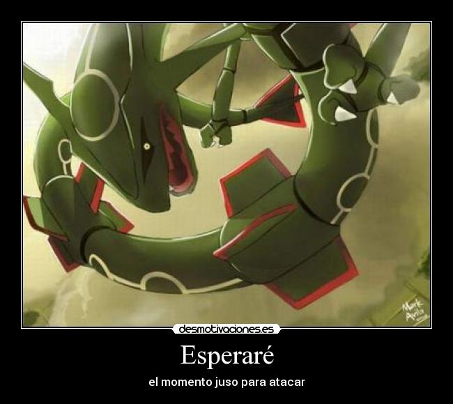 carteles rayquaza desmotivaciones