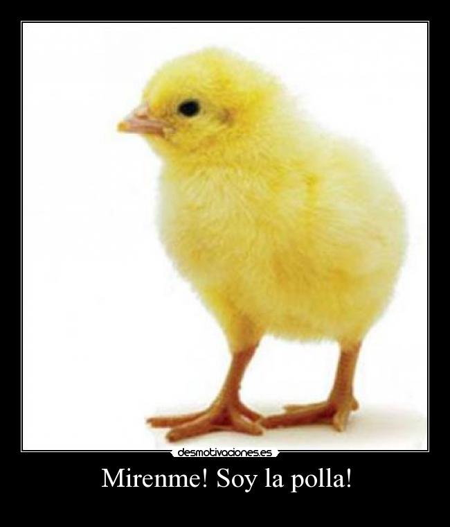 Mirenme! Soy la polla! - 