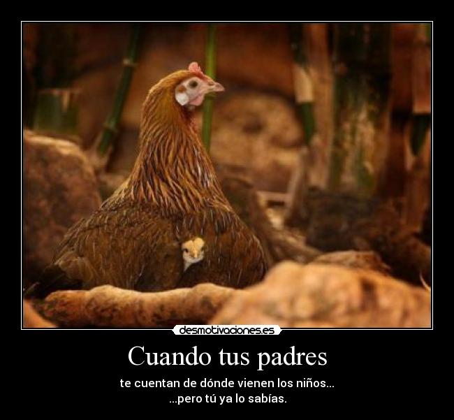 Cuando tus padres - te cuentan de dónde vienen los niños...
...pero tú ya lo sabías.