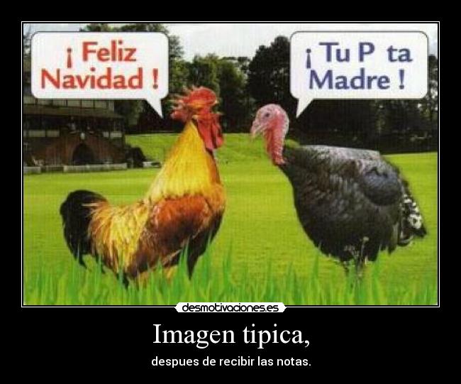 Imagen tipica, - despues de recibir las notas.