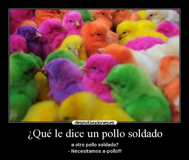 ¿Qué le dice un pollo soldado - a otro pollo soldado?
- Necesitamos a-pollo!!!
