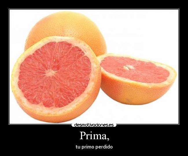 Prima, - tu primo perdido