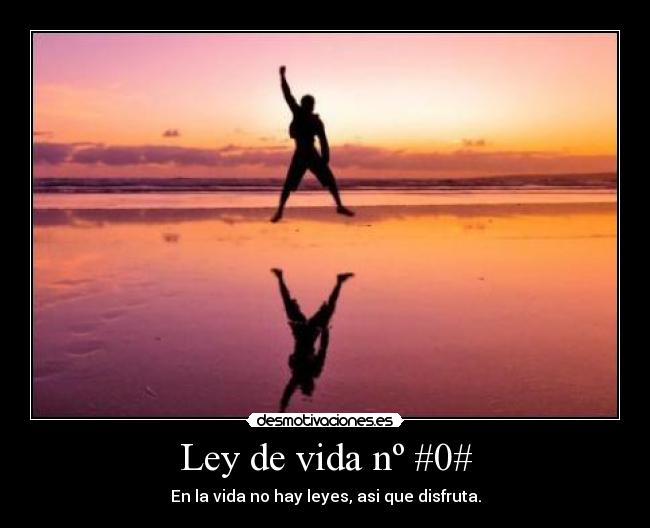 Ley de vida nº #0# - En la vida no hay leyes, asi que disfruta.