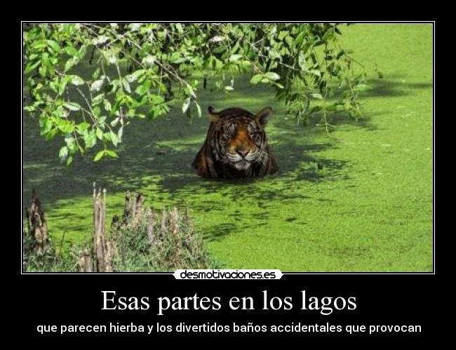 carteles eften desmotivaciones