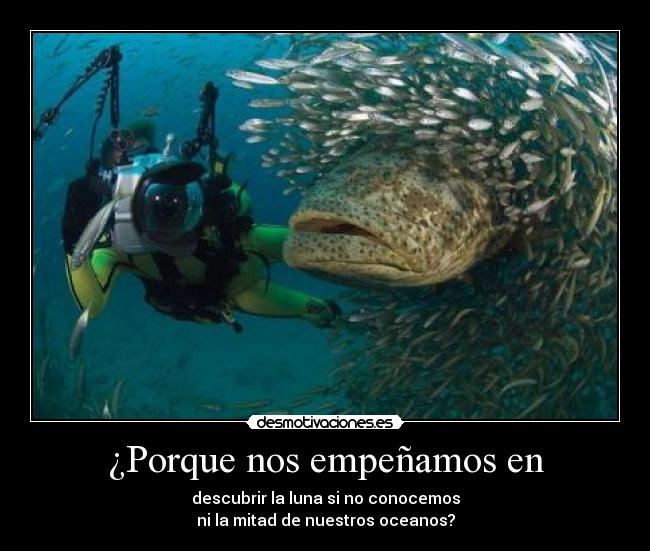 ¿Porque nos empeñamos en - 