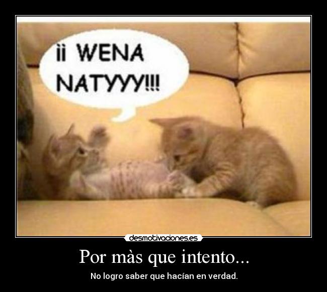 Por màs que intento... - No logro saber que hacían en verdad.