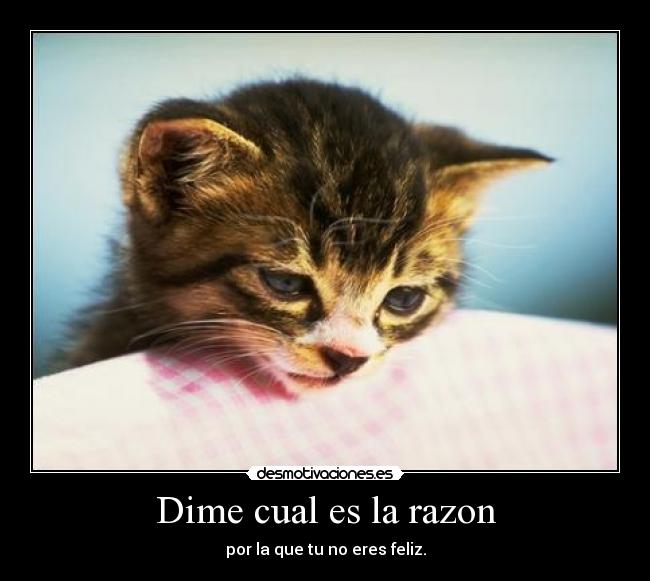 carteles quiero que seas feliz desmotivaciones