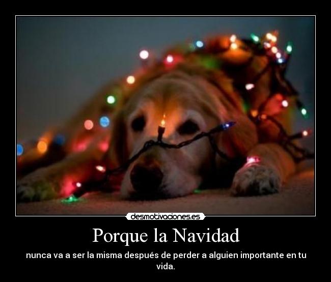 Porque la Navidad - nunca va a ser la misma después de perder a alguien importante en tu vida.
