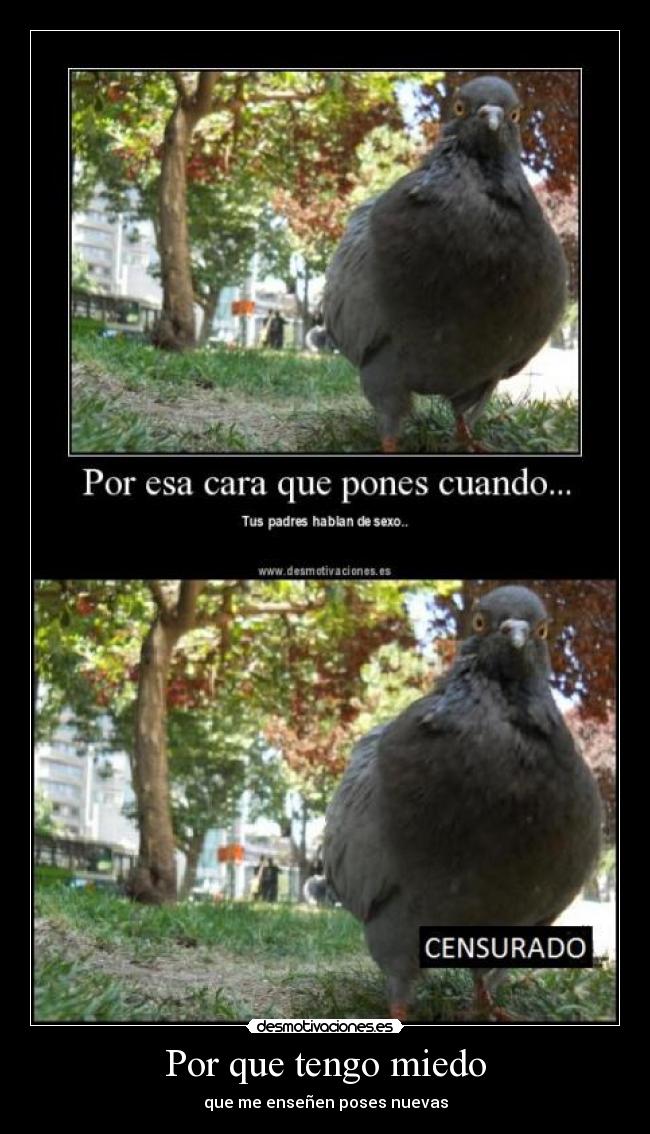 Por que tengo miedo - 