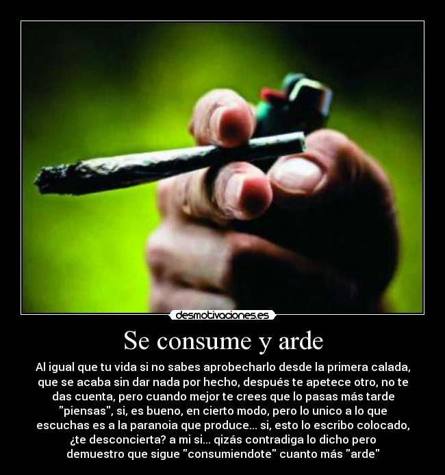 Se consume y arde - Al igual que tu vida si no sabes aprobecharlo desde la primera calada,
que se acaba sin dar nada por hecho, después te apetece otro, no te
das cuenta, pero cuando mejor te crees que lo pasas más tarde
piensas, si, es bueno, en cierto modo, pero lo unico a lo que
escuchas es a la paranoia que produce... si, esto lo escribo colocado,
¿te desconcierta? a mi si... qizás contradiga lo dicho pero
demuestro que sigue consumiendote cuanto más arde