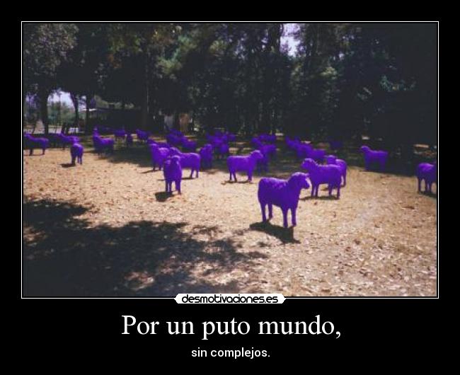 Por un puto mundo, - sin complejos.
