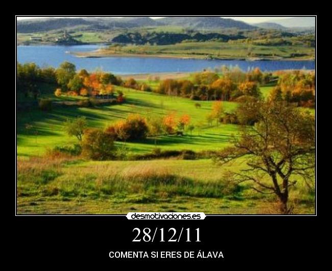 28/12/11 - COMENTA SI ERES DE ÁLAVA