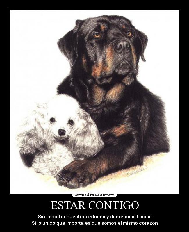 ESTAR CONTIGO -