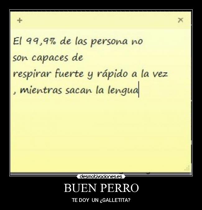 BUEN PERRO -