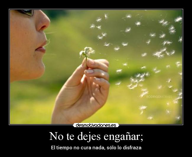 No te dejes engañar; -