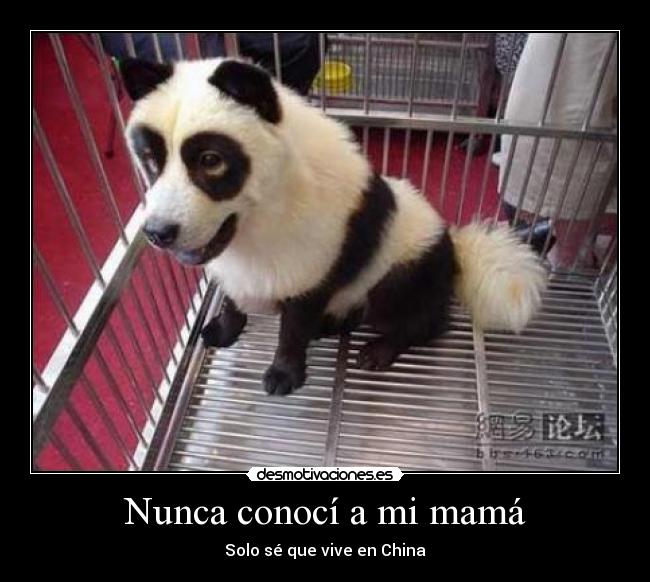 Nunca conocí a mi mamá -