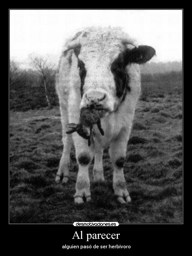 Al parecer - alguien pasó de ser herbívoro