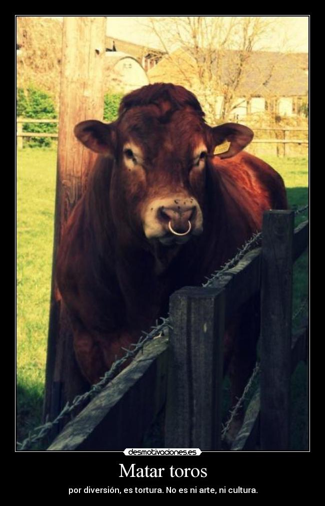 carteles antitaurina desmotivaciones