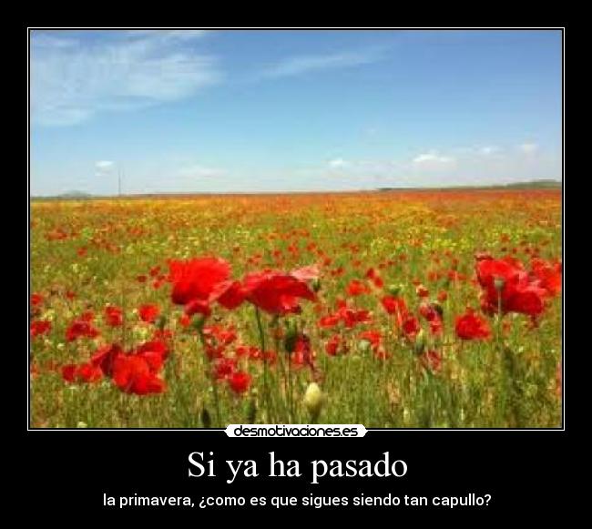 Si ya ha pasado - 
