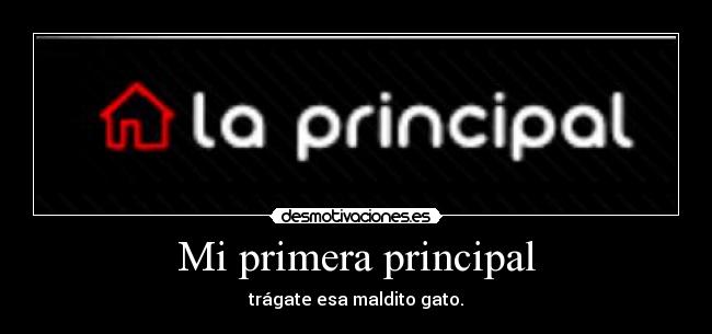 Mi primera principal - trágate esa maldito gato.