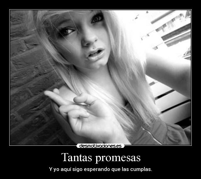 carteles promesas promesas lalala nananana desmotivaciones