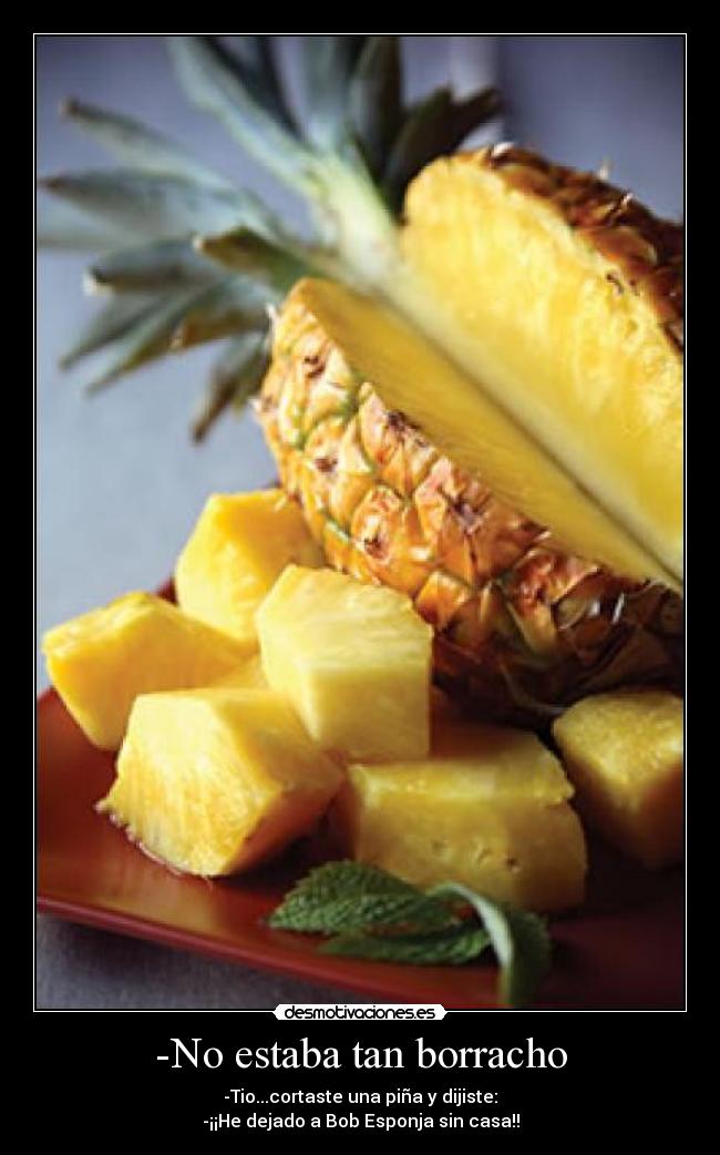 -No estaba tan borracho - -Tio...cortaste una piña y dijiste:
-¡¡He dejado a Bob Esponja sin casa!!