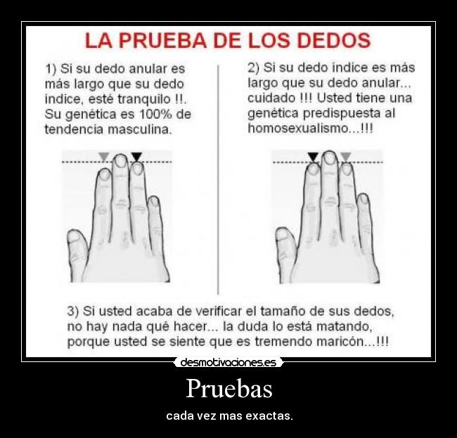 Pruebas -