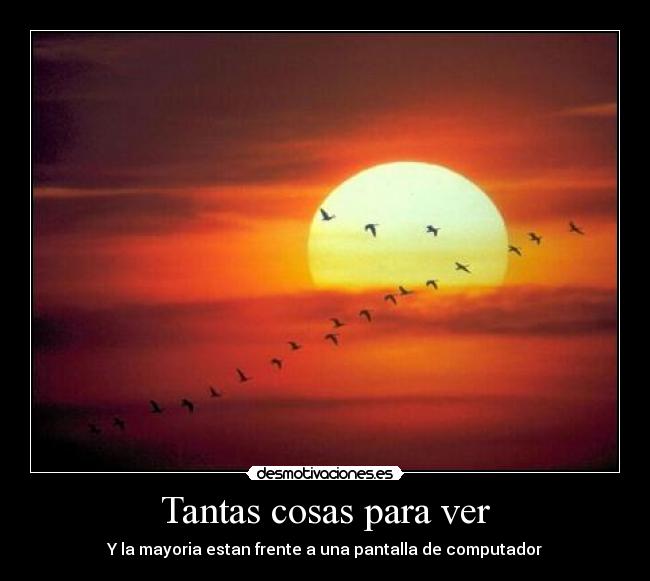 Tantas cosas para ver -