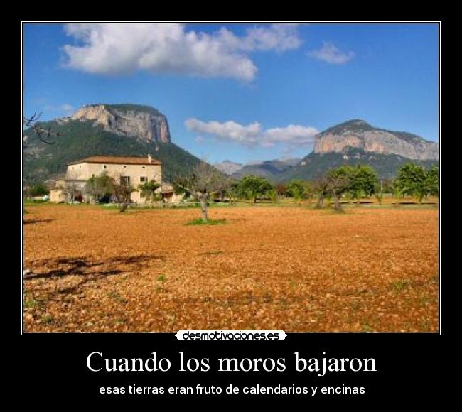 carteles pasto lobos desmotivaciones