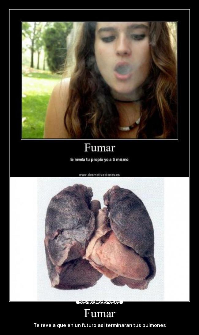 carteles los vicios matan desmotivaciones