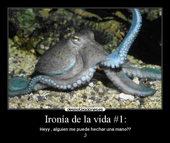Ironía de la vida #1: - Heyy , alguien me puede hechar una mano??
;)