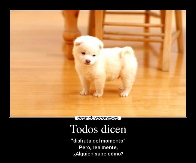 carteles que decis vosotros desmotivaciones