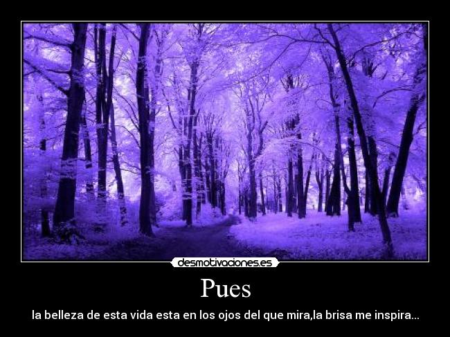 Pues - la belleza de esta vida esta en los ojos del que mira,la brisa me inspira...