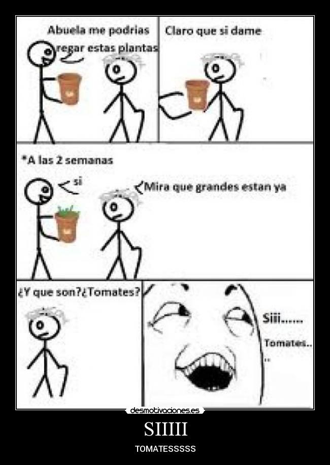 SIIIII - TOMATESSSSS