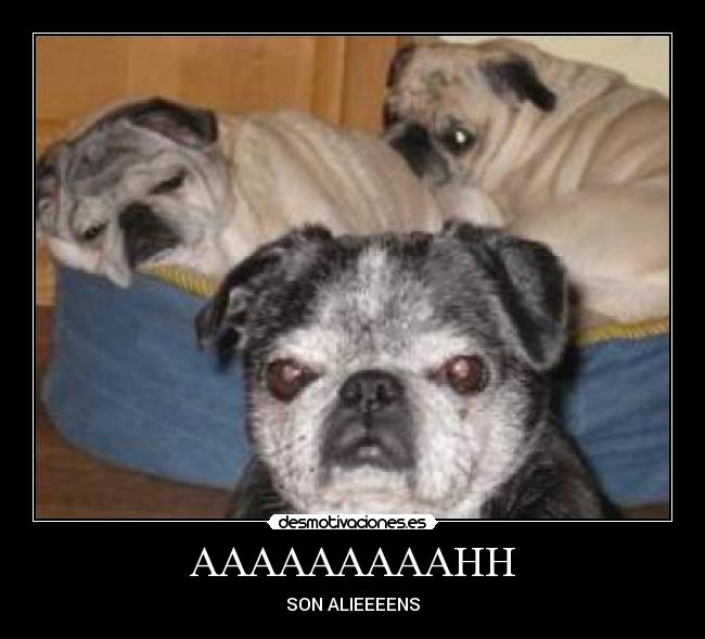 AAAAAAAAAHH - SON ALIEEEENS