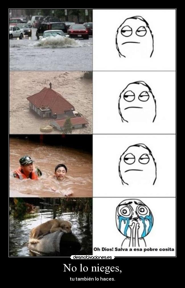 No lo nieges, - 