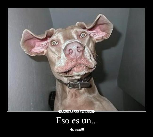 Eso es un... -