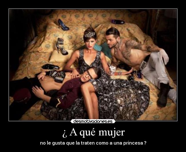 carteles mujer princesa desmotivaciones