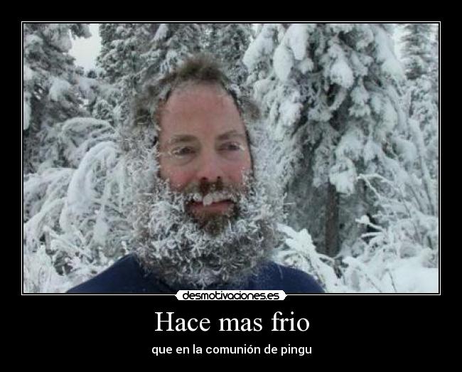 carteles frio hielo nieve navidad muneco escarcha pingu tiritar agua iceberg morirse frio comunion desmotivaciones