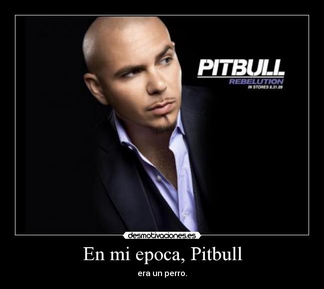 En mi epoca, Pitbull -