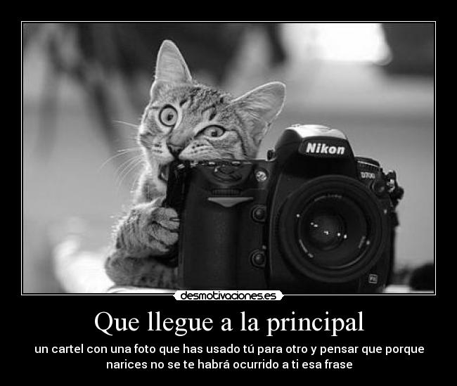 Que llegue a la principal - 