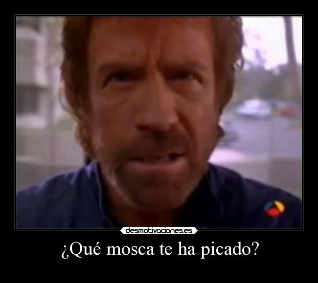 ¿Qué mosca te ha picado? - 